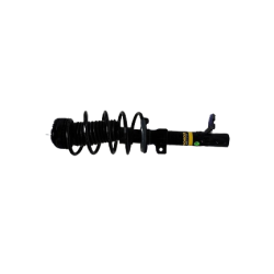 FRONT STRUT ASSY (LH)?-FIESTA 1ST GEN 2005-2015/FIGO 1ST GEN 2010-2015