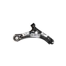 TRACK CONTROL ARM-ECOSPORT 2013-2021 PTL