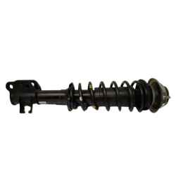 FRONT STRUT ASSY (LH)-ZEN 1996--2006