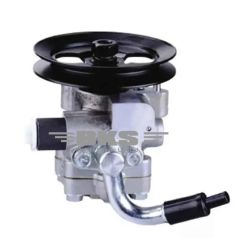HYDRAULIC PUMP, STEERING SYSTEM-BOLERO