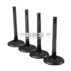 VALVE SET-A-STAR 2008-2013/ALTO K10 1ST GEN 2010-2014/STINGRAY 2013-2017/WAGON R 2ND GEN  2010-2018/ZEN ESTILO 2ND GEN 2009-2013