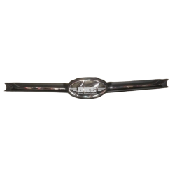 GRILLE ASSY-RADIATOR-GRAND I10 2016-2019/XCENT 2016-2020