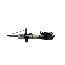 FRONT SHOCK ABSORBER / STRUT ELEMENT (LH)-ASPIRE 1ST GEN 2015-2018/FIGO 2ND GEN 2015-2019/FREESTYLE 2018-2020